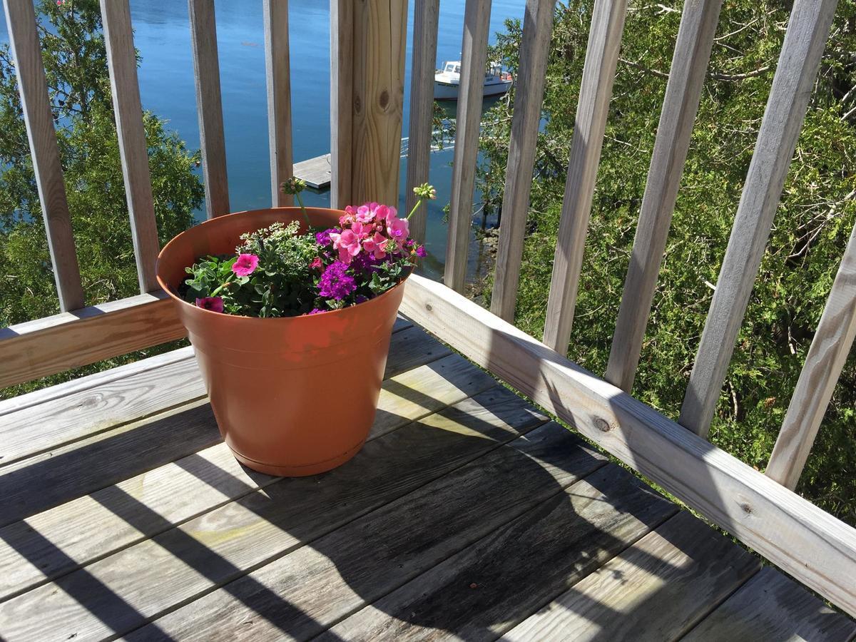 Quahog Bay Inn Harpswell エクステリア 写真
